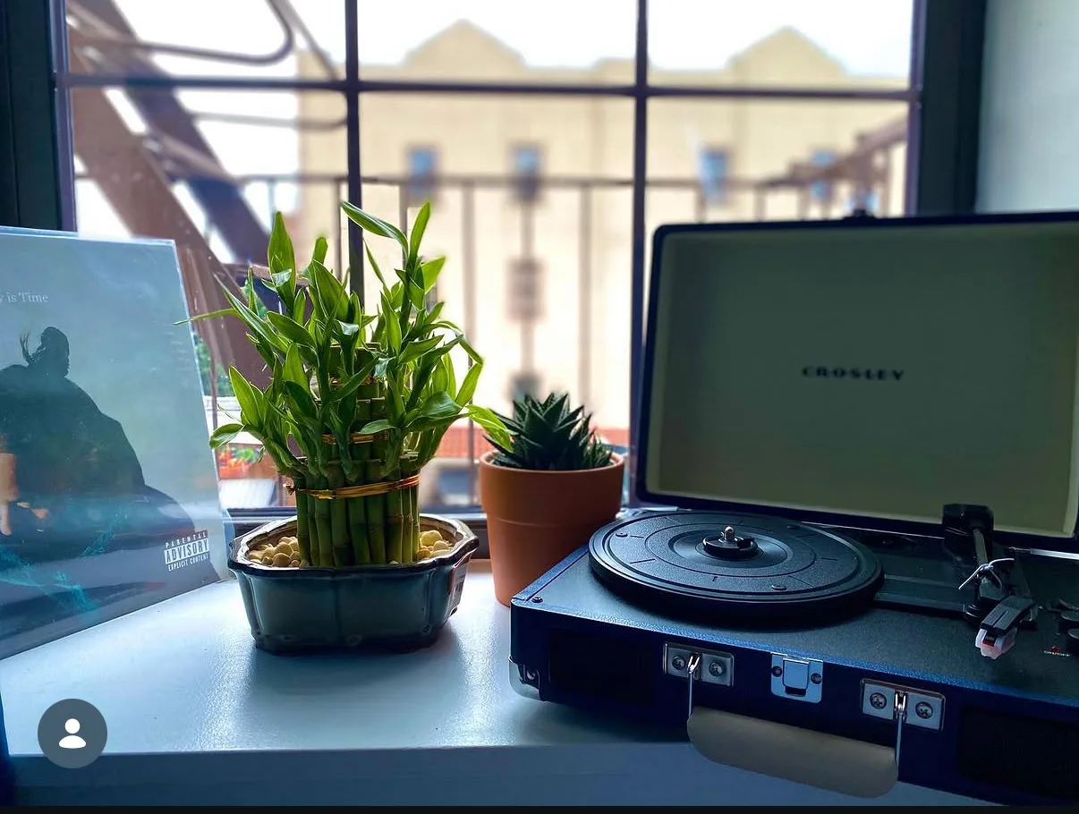 A record player and a trailing plant beside a Brooklyn window in soft daylight