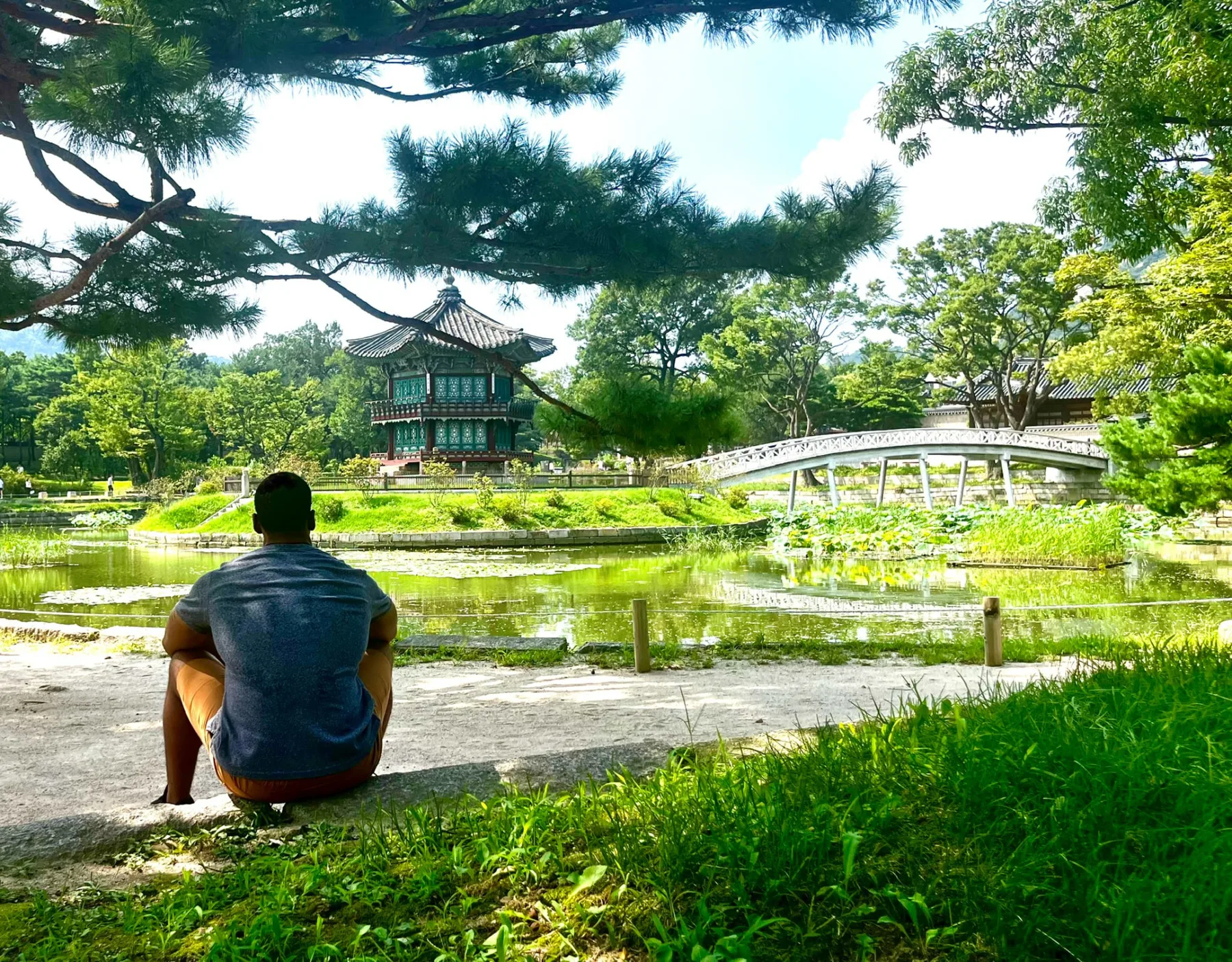 A man sitting by a lotus pond in Seoul, looking towards a pavilion and arched bridge at Gyeongbokgung